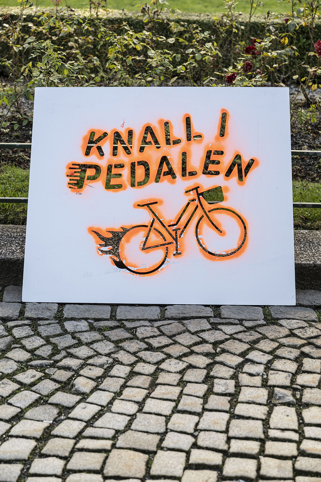 Stensilert skilt med teksten «Knall i pedalen» og en sykkelillustrasjon, plassert ved en hekk langs en brosteinsgate.